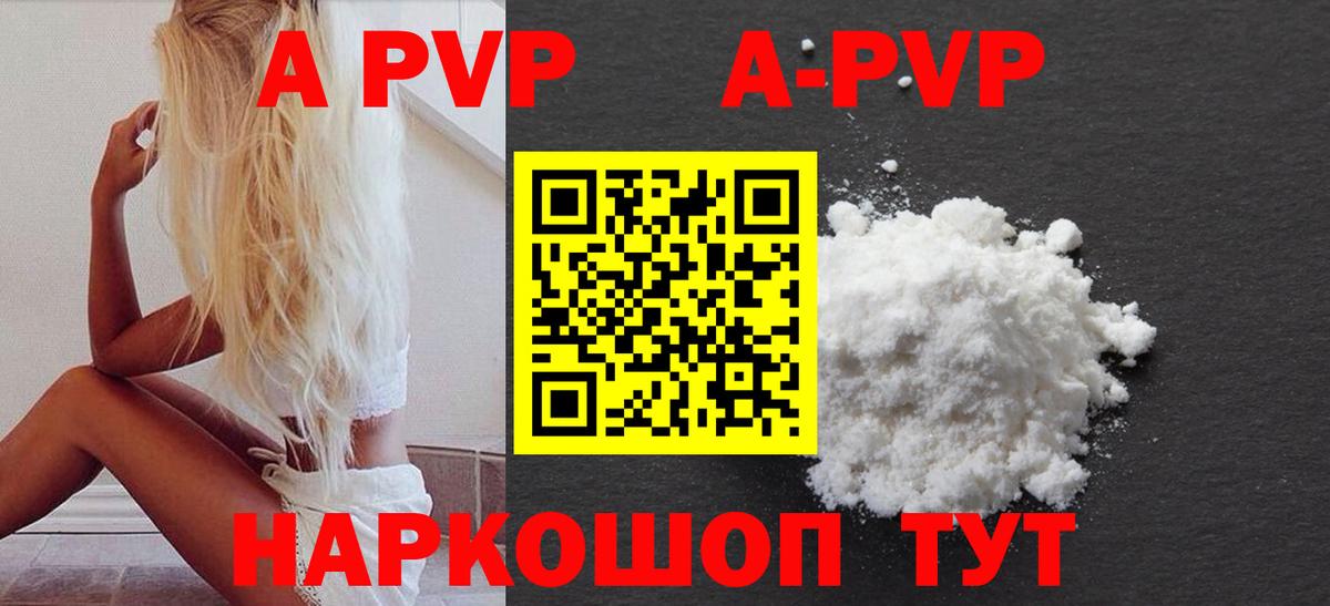 A PVP СК Сыктывкар