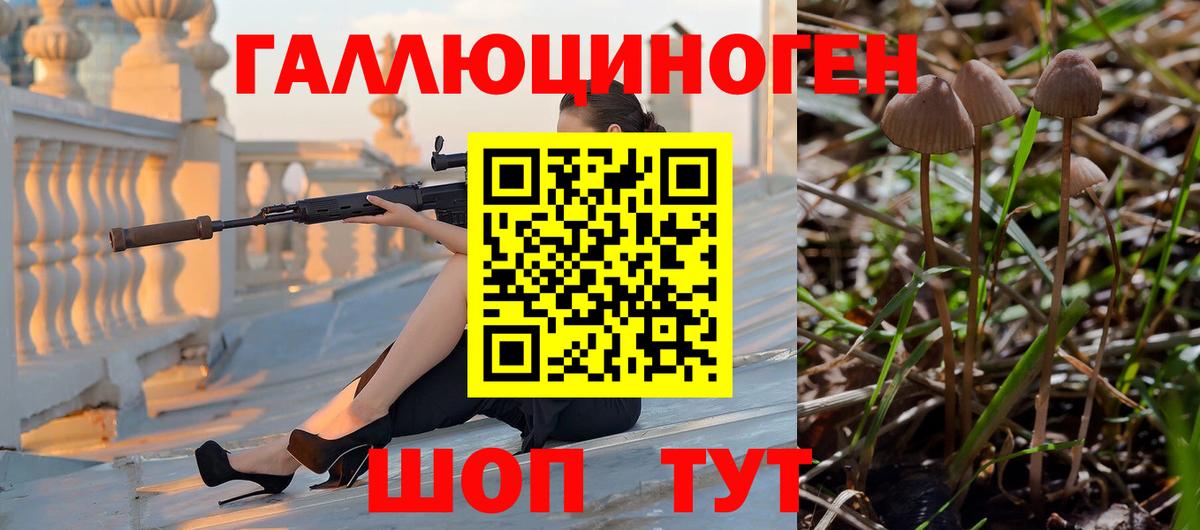 Псилоцибиновые грибы Magic Shrooms Сыктывкар