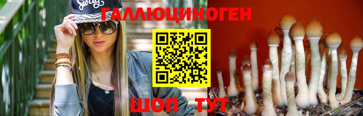 Сыктывкар  Псилоцибиновые грибы Psilocybine cubensis  Вход с VPN  Галлюциногенные грибы Psilocybine cubensis 